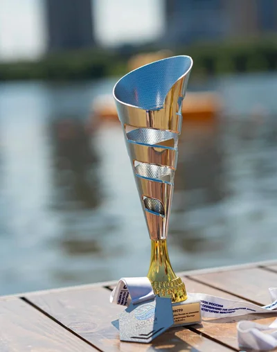 Федерации водных видов спорта России — 1 год!