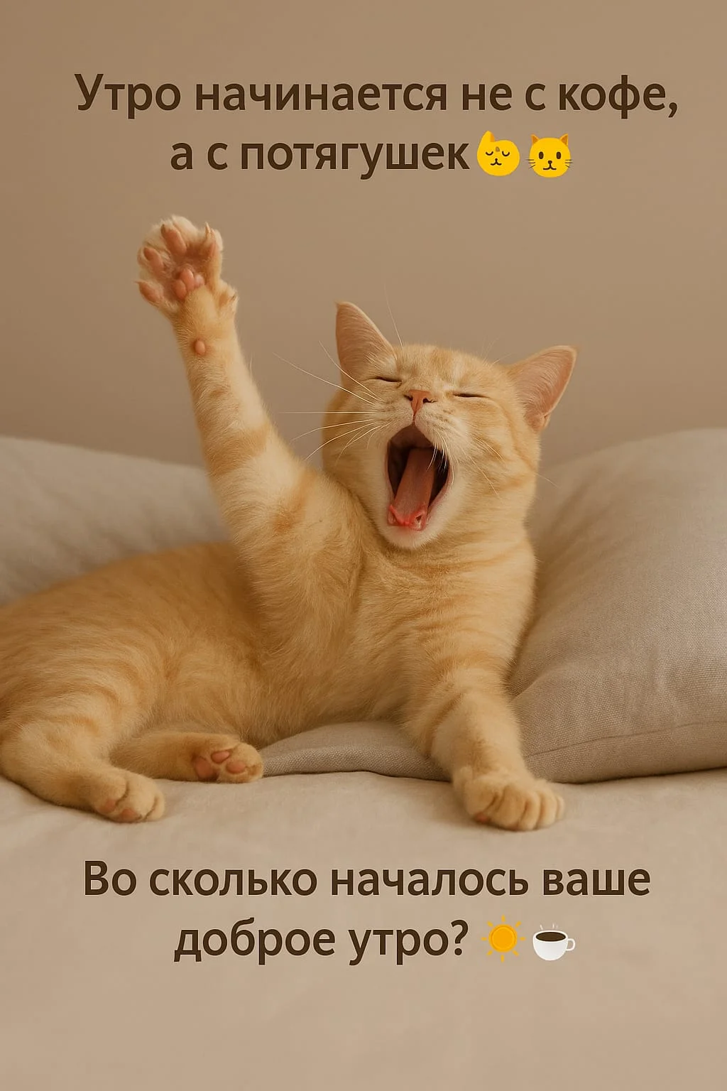 Ирина Бармыкина